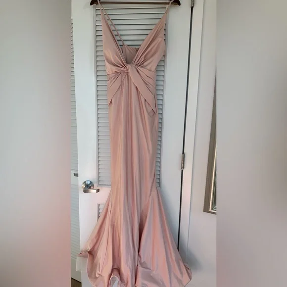 BARI JAY MAXI DRESS, Never worn - Picture 2 of 4